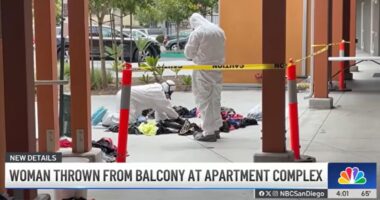 Man throws girlfriend from balcony, killing her: Cops