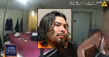 Man who chained up girlfriend says she did it herself: Cops