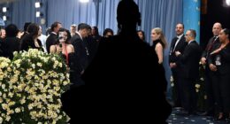 Mean Girl Anna Wintour snubs critically-lauded star from Vogue Met Gala snaps after MAGA support was revealed