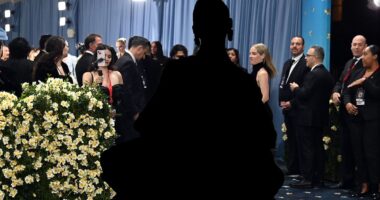 Mean Girl Anna Wintour snubs critically-lauded star from Vogue Met Gala snaps after MAGA support was revealed