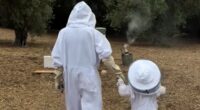 Meghan Markle shares sweet clip of her and Lilibet wearing beekeeping suits - giving royal fans a rare glimpse at the three-year-old's face