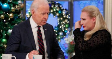 Meghan McCain Issues Warm Message To Joe Biden And His Family Amid Prostate Cancer Diagnosis: “I Don’t Believe Times Like These Are Appropriate For Politics”