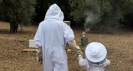 Meghan shares full clip of honey harvesting with Lilibet - and gives a sweet nod to Archie
