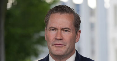 Mike Waltz’s new role revealed as Trump ‘considers National Security Advisor shake-up with Steve Witkoff as replacement’