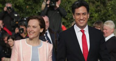 Miliband v Miliband: Energy Secretary's High Court judge wife turns nimby over new flats - after Ed vowed to 'take on the blockers, the delayers, the obstructionists'