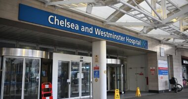 Millions of cancer patients promised faster diagnosis...