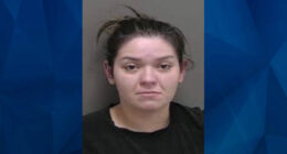 Minnesota Mom Charged With Murder in Toddler Son’s Death; Stopped at Walmart for Pedialyte on Way to Hospital