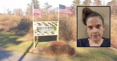 Mom sent 11-year-old son with brain bleed to school: Cops