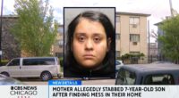 Mom stabbed 7-year-old son because he made a mess: Cops