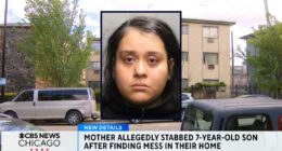 Mom stabbed 7-year-old son because he made a mess: Cops