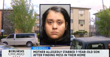 Mom stabbed 7-year-old son because he made a mess: Cops
