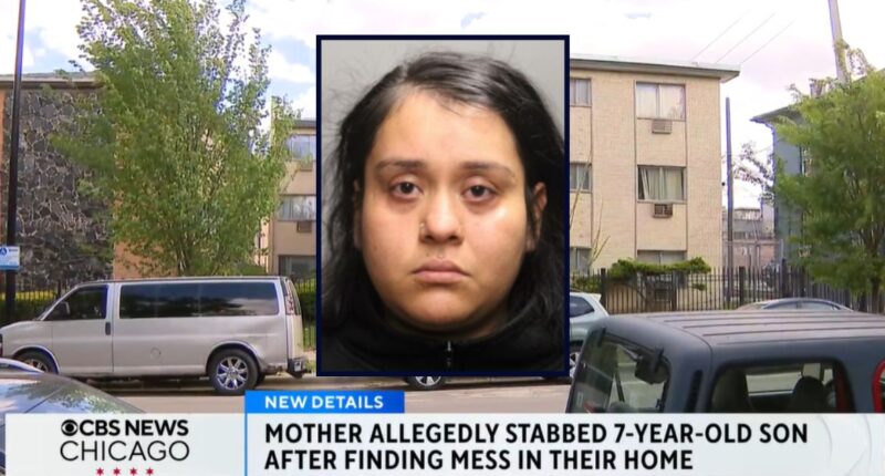 Mom stabbed 7-year-old son because he made a mess: Cops