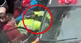 Moment Liverpool parade 'drug driver' is dragged out of car by police after injuring 65 people as it is claimed he was fuelled by 'road rage, not terror'