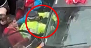 Moment Liverpool parade 'drug driver' is dragged out of car by police after injuring 65 people as it is claimed he was fuelled by 'road rage, not terror'