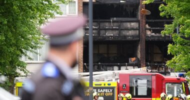 Mother and three children killed in house fire are named as schoolgirl, 13, remains fighting for her life: Man arrested over blaze is detained under mental health act