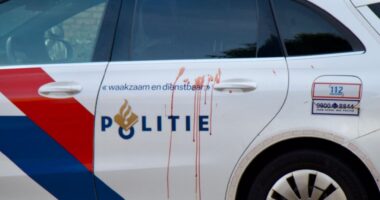 Multiple people stabbed including police officer in knife rampage in Netherlands as cop car left covered in blood