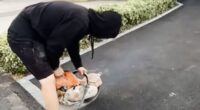 My viral Tiktok driveway stunt backfired horribly - now I am paying the price, admits builder