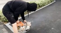 My viral Tiktok driveway stunt backfired horribly - now I am paying the price, admits builder