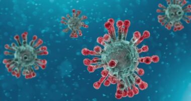 NB.1.8.1: New contagious COVID-19 variant now circulating in California, health experts warn: Here's what to know