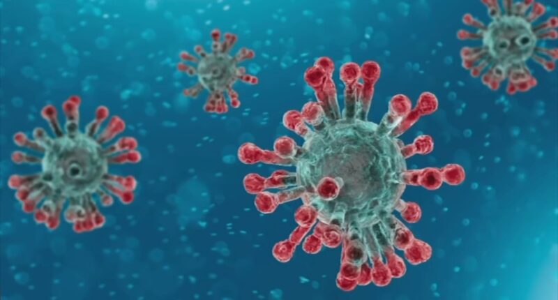 NB.1.8.1: New contagious COVID-19 variant now circulating in California, health experts warn: Here's what to know