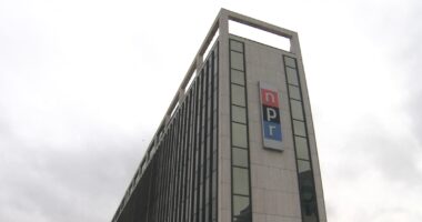 NPR sues Trump administration over executive order to cut funding to public media