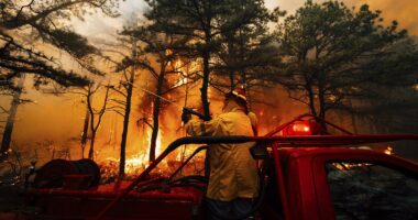 New Jersey teens gave ridiculous excuse before arrest for starting devastating wildfire