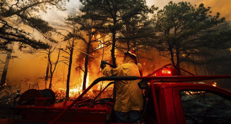 New Jersey teens gave ridiculous excuse before arrest for starting devastating wildfire