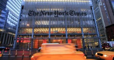 New York Times Lapses Into 80/20 Territory by Siding With South African Violence Over President Trump