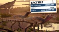 New species of dog-sized killer dinosaur that roamed Earth 220m years ago discovered – but its name isn’t too catchy