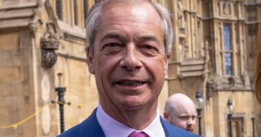 Nigel Farage plans to shred costly Net Zero rules on first day if he becomes Prime Minister