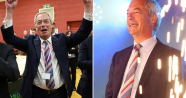 Nigel Farage will go to court to halt asylum seekers being housed in Reform-run areas as party faces legal battle