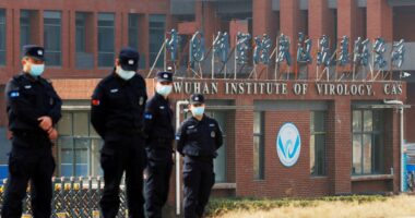 Now China bizarrely claims Covid pandemic started in the US in desperate bid to shift blame from Wuhan ‘lab leak’