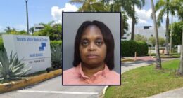 Nurse kills mom after removing intubation, cops allege