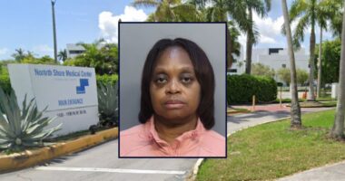 Nurse kills mom after removing intubation, cops allege
