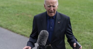 Oh My: Biden's Handlers Might Want to Rein Him in After What He Said About 'Original Sin' Authors
