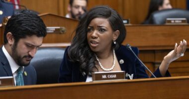 Oh My: Jasmine Crockett Just Stepped in It Again With Comment About Who Donors Want In 2028