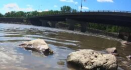 One man's decision to go fishing under Fremont train bridge changed two lives forever