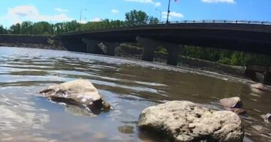 One man's decision to go fishing under Fremont train bridge changed two lives forever