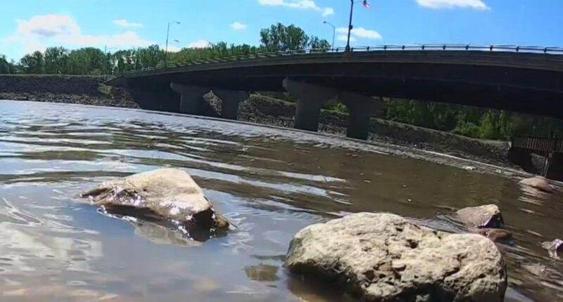 One man's decision to go fishing under Fremont train bridge changed two lives forever