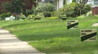 Plan for Bunts Road pedestrian/bike path faces pushback from some Lakewood residents