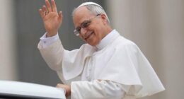 Pope Leo XIV calls for aid to reach Gaza and an end to hostilities in his first general audience