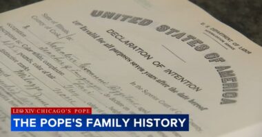 Pope Leo family history: Cook Country archives show Chicago-born Pope Leo XIV's grandfather immigrated from Italy to US