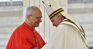 Pope Leo makes moving tribute to his predecessor Francis in first speech as the Holy Father: Read full transcript