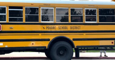 Poudre School District will pay $16M in settlement after paraprofessional pleads guilty to child abuse