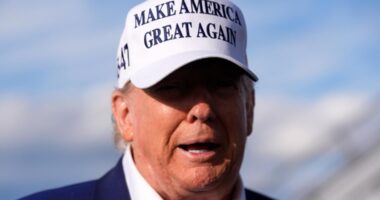 President Donald Trump says Russian leader Vladimir Putin 'has gone absolutely CRAZY!'