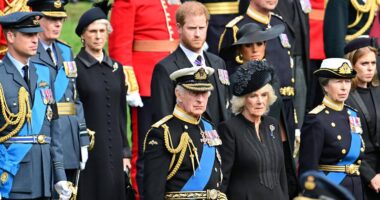 Prince Harry Admits 'There's No Point In Continuing To Fight' The Royal Family As He Seeks Reconciliation