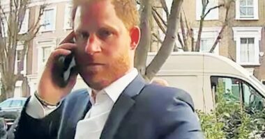 Prince Harry caught on camera knocking WRONG DOOR as he searched for pal after saying he felt unsafe in UK without cops