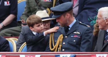 Prince Louis keeps his dad William looking sharp at VE Day celebrations by brushing off his uniform