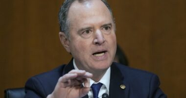 Projection, Much? Shameless Schiff Ironically Accuses Trump of Failing to 'Protect the Whole Country'