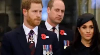 Public Outcry Grows Over Prince Harry & Meghan As New Poll Shows Massive Demand To Remove Royal Titles